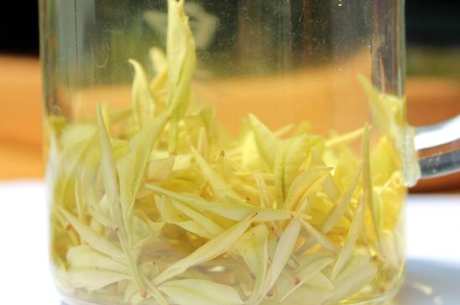 什么茶是黄茶？