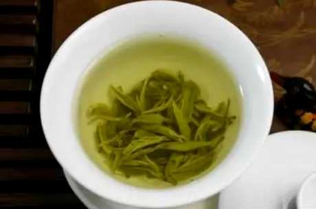 什么茶是黄茶？