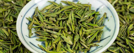 谁不适合喝黄茶？