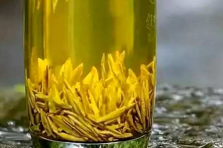 谁不适合喝黄茶？