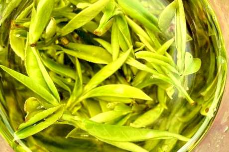 霍山黄芽茶属于什么茶？