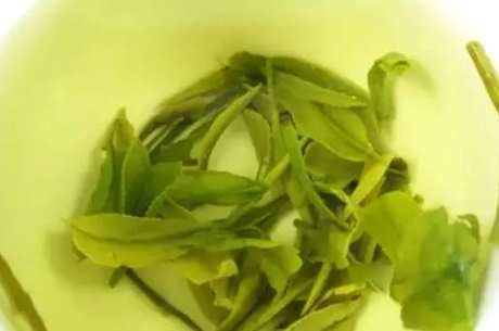 谁也不适合喝绿茶