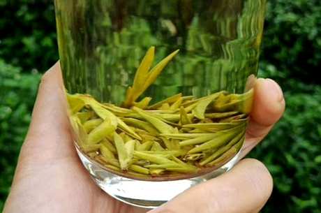 谁也不适合喝绿茶