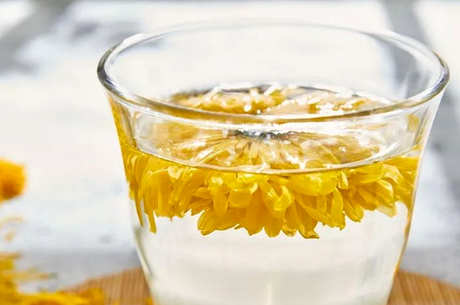 为什么菊花茶泡久了会变绿？
