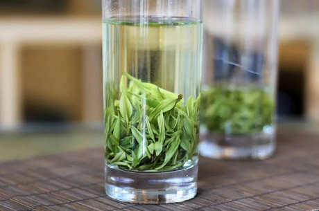 什么茶属于莫干黄芽？