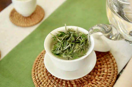 什么茶是白牡丹？