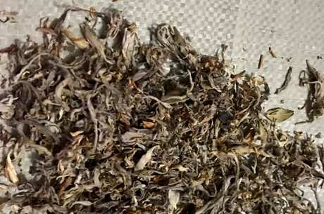 谁不能喝老鹰茶？