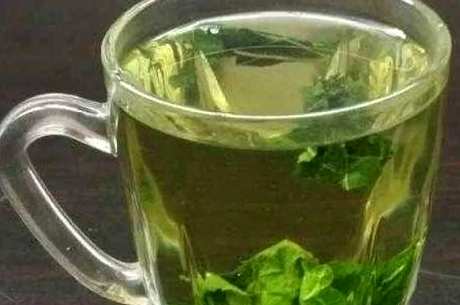喝桑叶茶有什么好处和坏处？