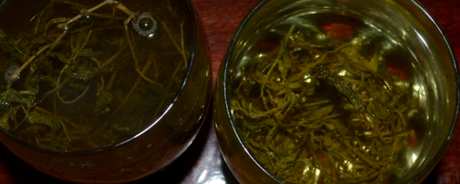 谁不适合喝覆盆子茶？