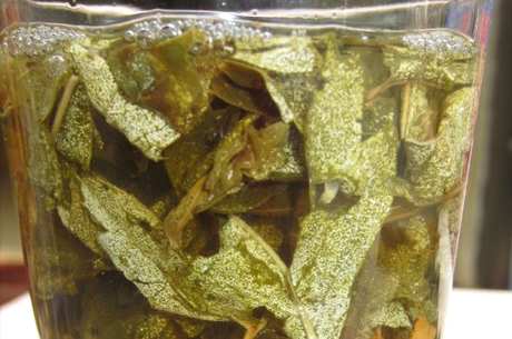 谁不适合喝覆盆子茶？
