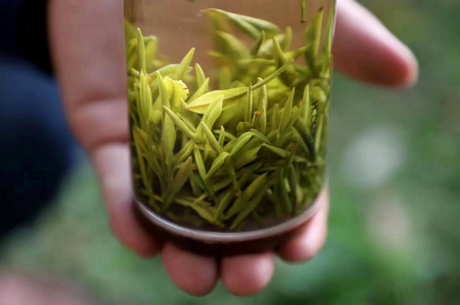 黄山毛峰过期4年能喝吗？