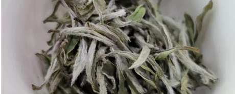 白茶贡眉和寿眉哪个等级高？