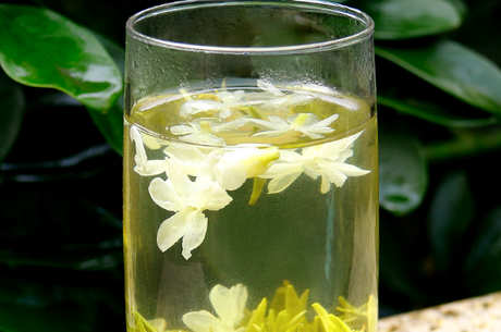 茉莉茶属于什么茶？