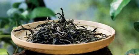 薄荷塘古树茶的特点