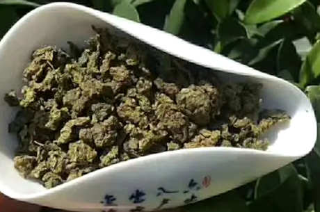 谁不能喝青钱柳茶？