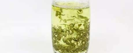 茉莉龙珠是什么茶？