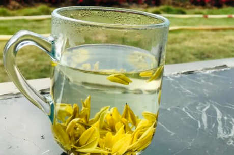 金茶属于什么茶？