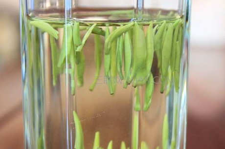 谁不适合喝绿茶？