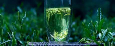 安吉白茶6年后还能喝吗？