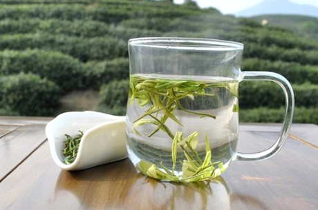 安吉白茶6年后还能喝吗？