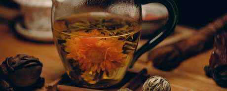 菊花茶的种类