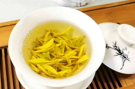 金芽茶怎么样？