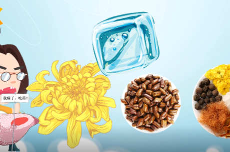 菊花决明子茶的功效和作用