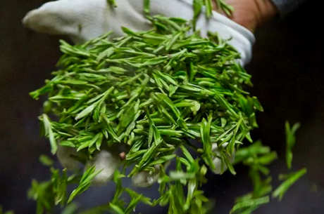 绿茶的价格是多少？绿茶的市场价是几十到几千元
