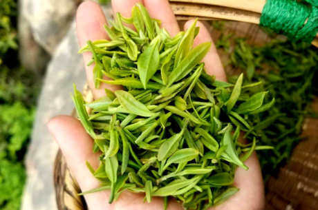 绿茶的价格是多少？绿茶的市场价是几十到几千元