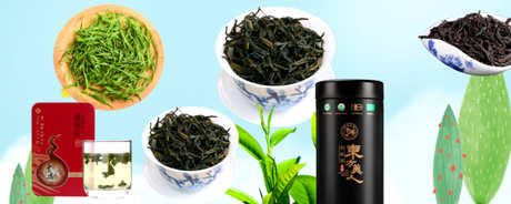 乌龙茶和四季春茶有什么区别？