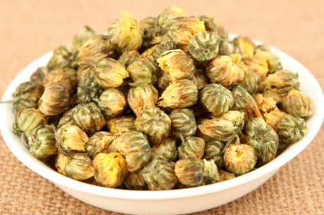 杭白菊一斤多少钱？杭白菊价格介绍