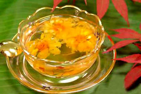 大菊花茶和小菊花茶哪个好，喝菊花茶还是胎菊好？