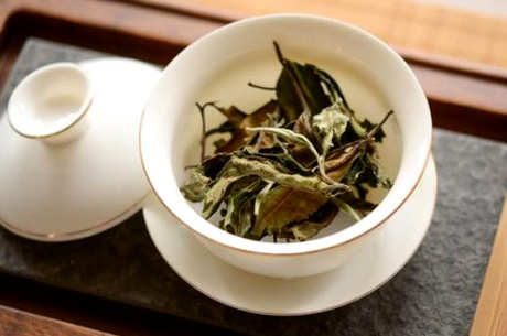 福鼎白茶有20个好处，美容养颜清热降火