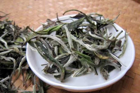 福鼎白茶有20个好处，美容养颜清热降火