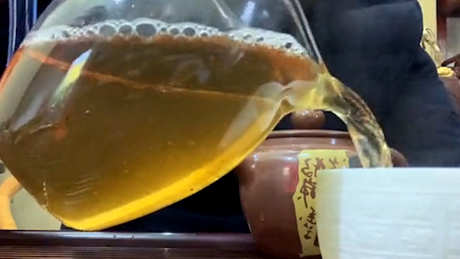 什么是普洱茶？