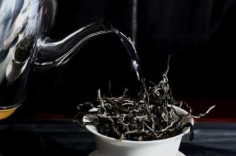 勐海茶区有哪些名茶？