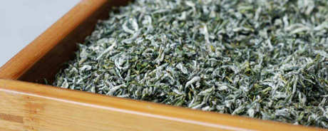 甘露茶属于什么茶？