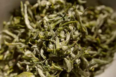 甘露茶属于什么茶？