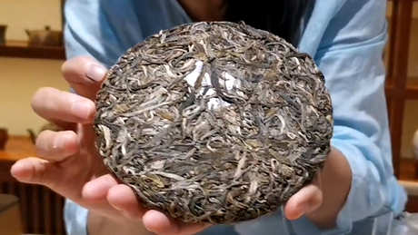普洱茶帕沙茶的特点