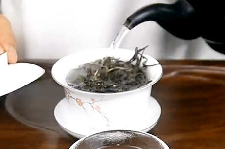 普洱茶帕沙茶的特点
