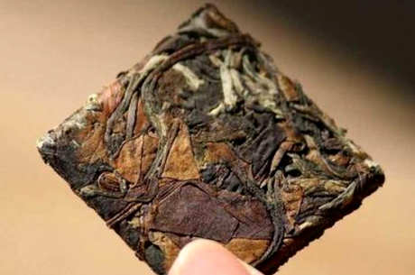 白茶是红茶还是绿茶？白茶是白茶