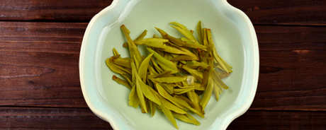 何时采摘茶叶