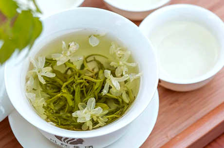 何时采摘茶叶