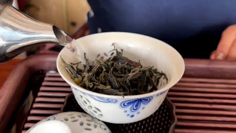 普洱茶的特点和口感