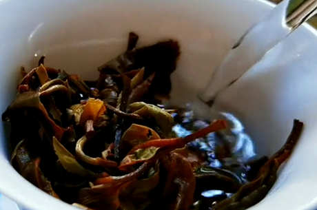 大雪山普洱茶是什么茶？