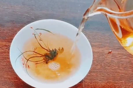 云南茶山16座山有哪些？