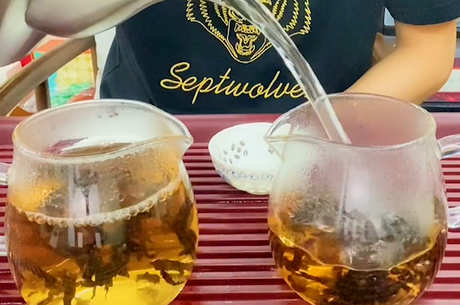 绿茶包括哪些茶叶品种？