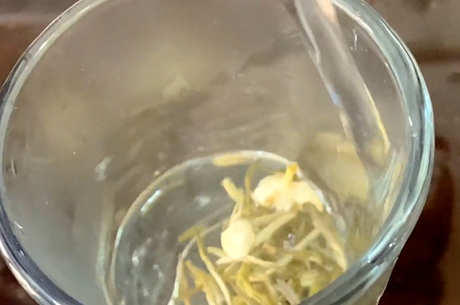 茉莉花茶哪个产地最好？
