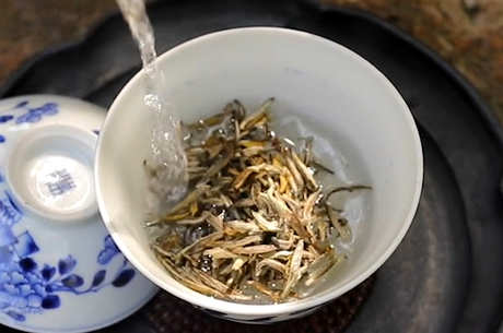 茉莉花茶哪个产地最好？