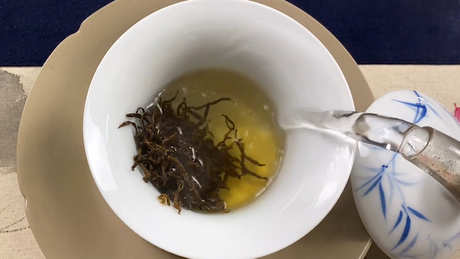 红茶是什么茶？